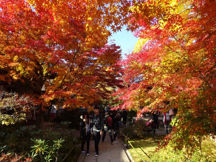 常寂光寺の紅葉