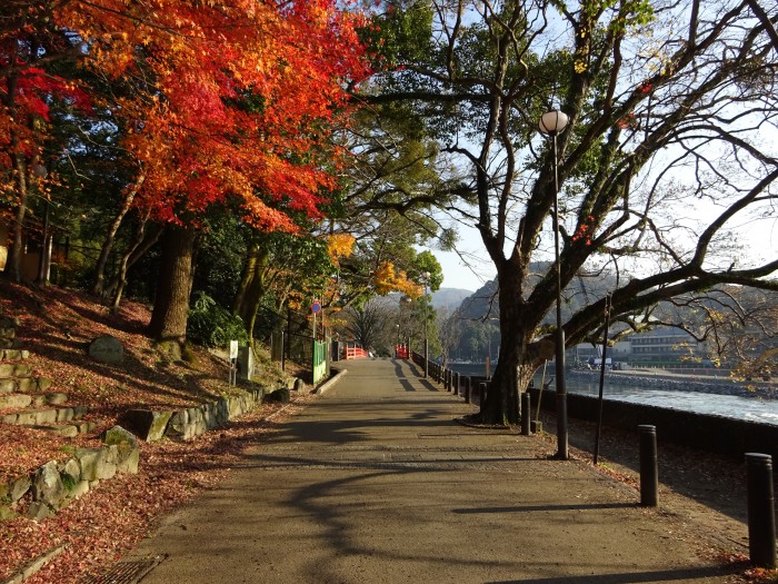 宇治川遊歩道